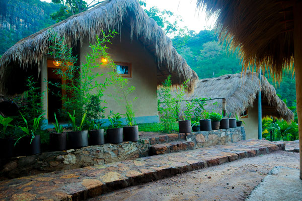 Home c
