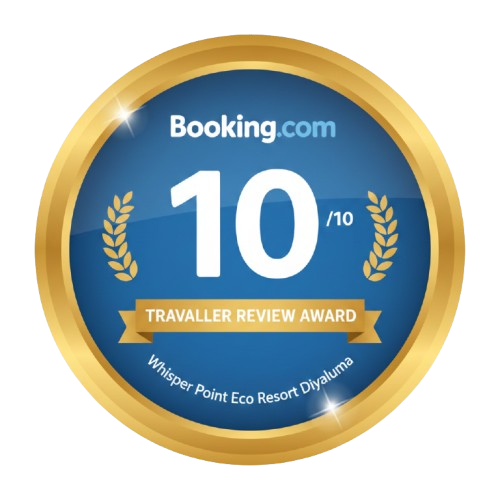 gemini generated image 18vcn818vcn818vc removebg preview